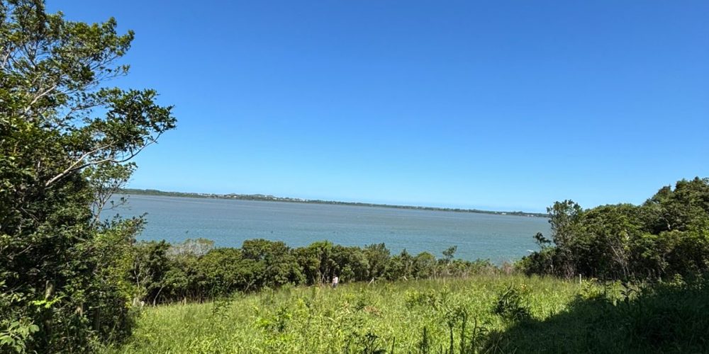 WhatsApp Image 2026-01-04 at 15.54.06 (2)