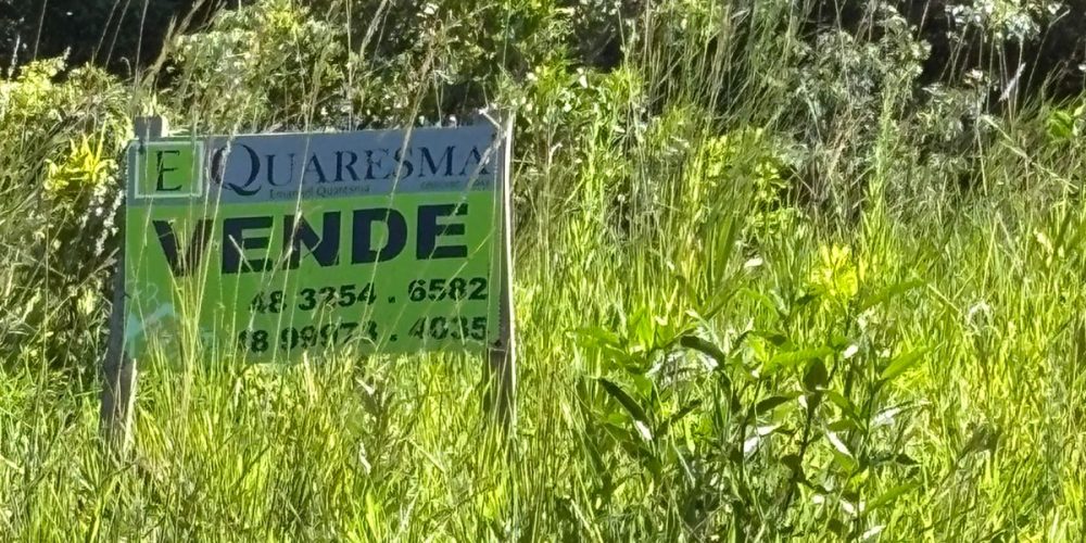 WhatsApp Image 2026-01-04 at 15.54.06