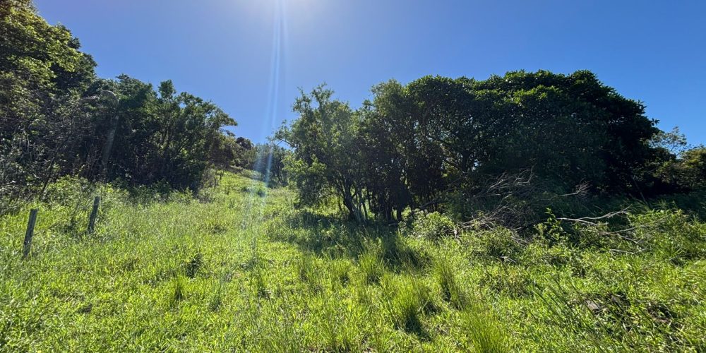 WhatsApp Image 2026-01-04 at 15.54.18