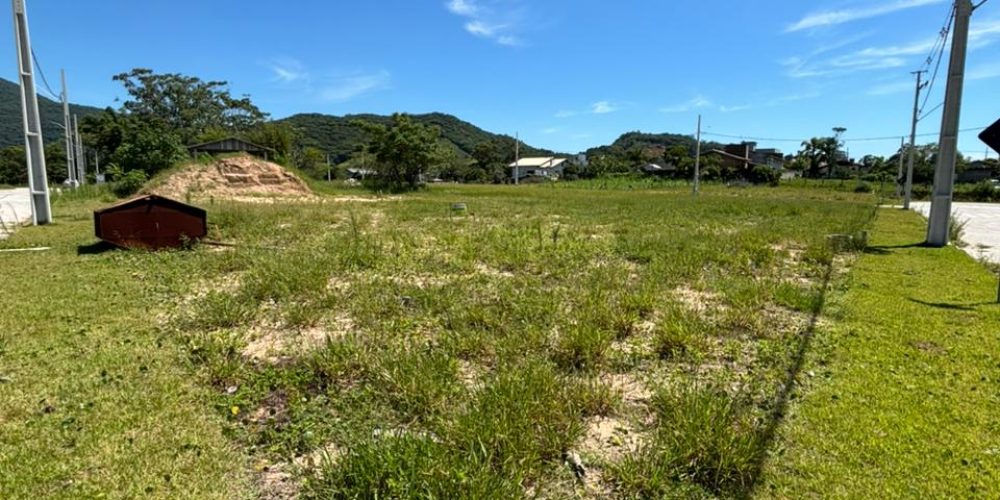 WhatsApp Image 2026-01-16 at 09.39.17 (1)