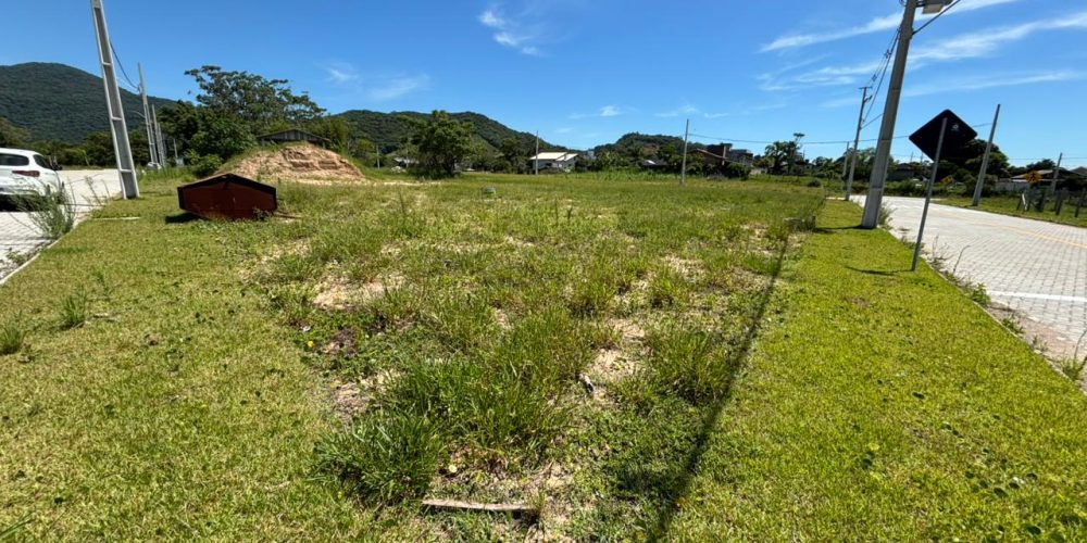 WhatsApp Image 2026-01-16 at 09.39.17 (2)