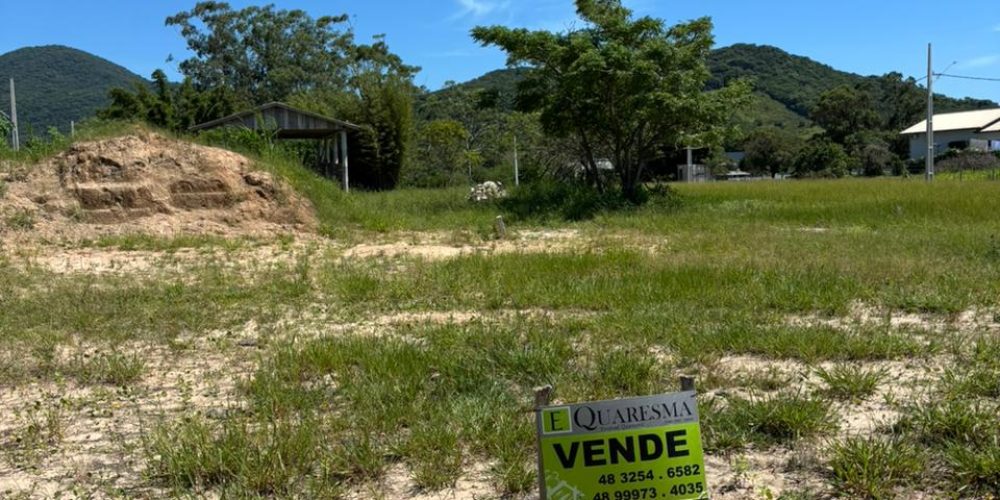 WhatsApp Image 2026-01-16 at 09.39.17