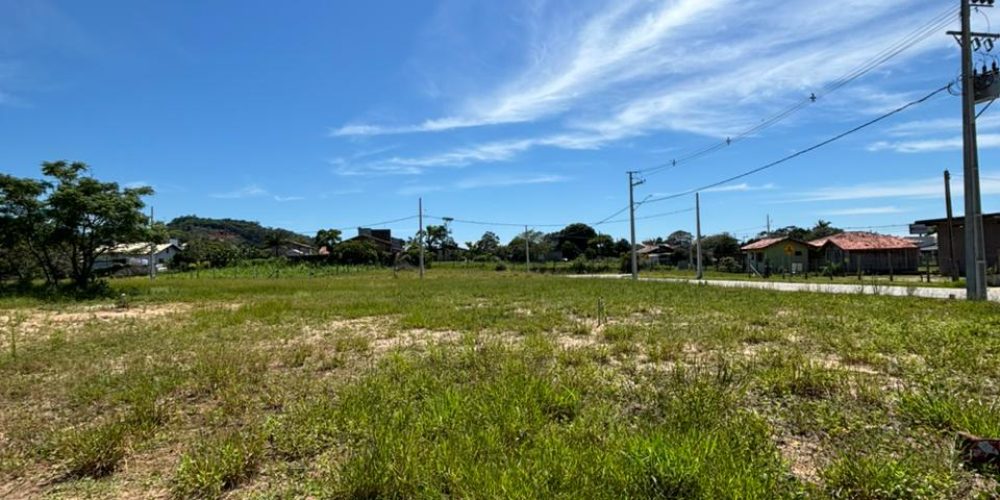 WhatsApp Image 2026-01-16 at 09.39.18 (2)