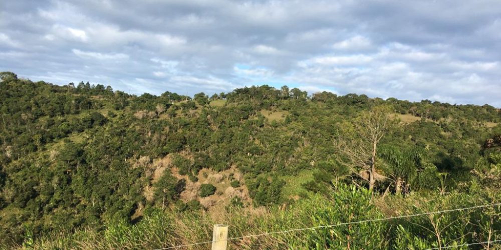 terreno garoapa alto padrao(11)