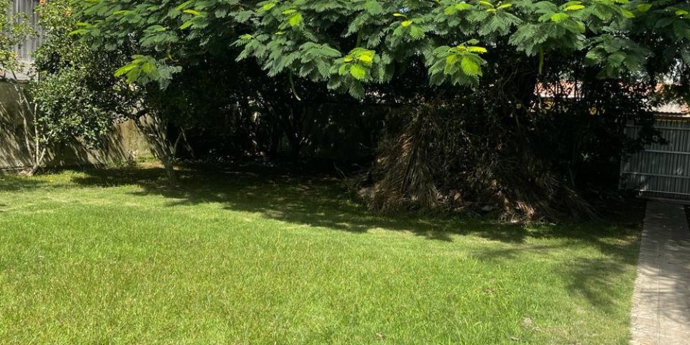 Terreno de 514,74 m² à venda em Campo D'una, Garopaba-SC. Localização privilegiada, plano e murado em três lados. Ideal para construção ou investimento.